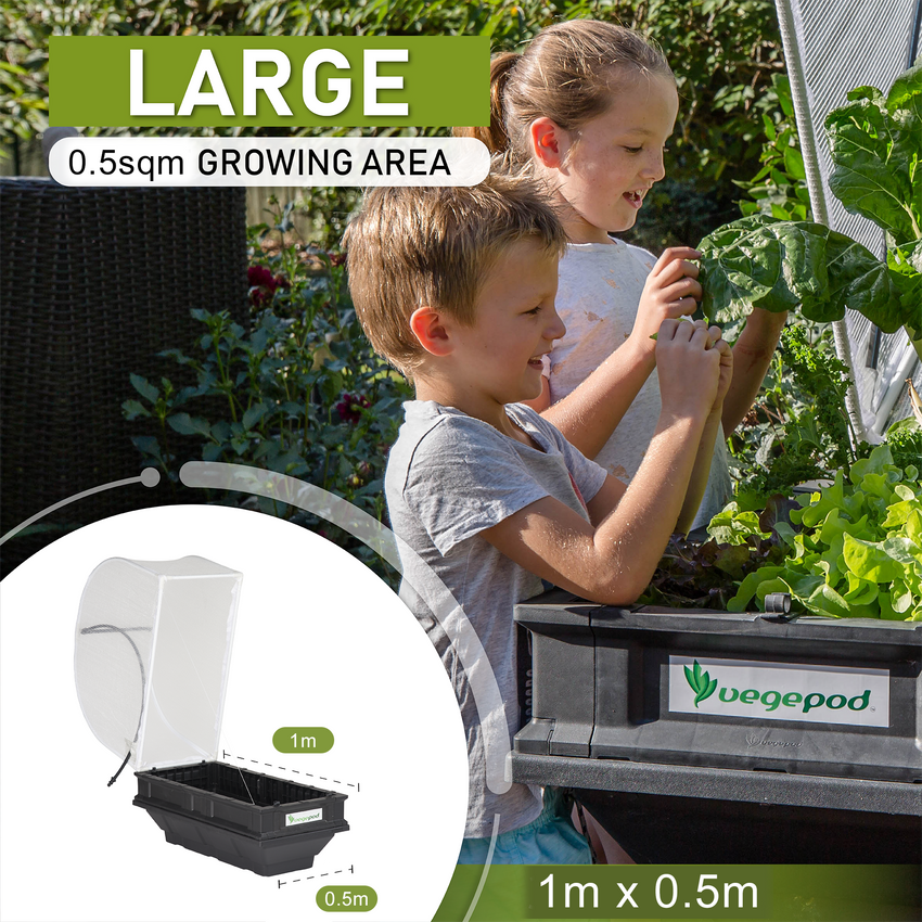 Small Raised Garden Bed with Canopy
